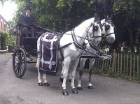 Horse drawn Carriage Hire   Disley 1084509 Image 6
